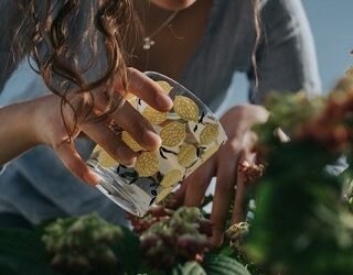 VINEGAR – CHEAP AND EFFECTIVE IN THE GARDEN