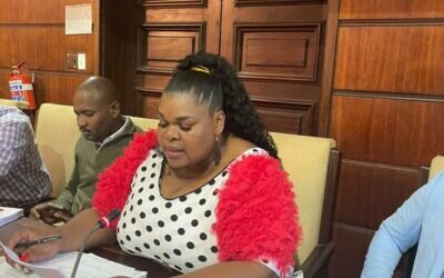 MPAC TABLES THE OVERSIGHT REPORT ON ANNUAL REPORT 2020/2021